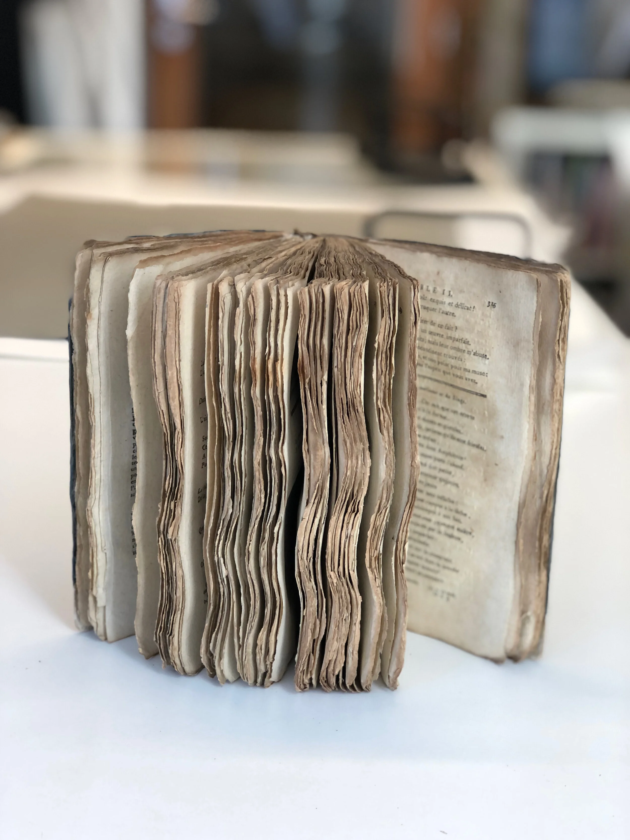 Toutes les photos - 1 sur 1.jpeg