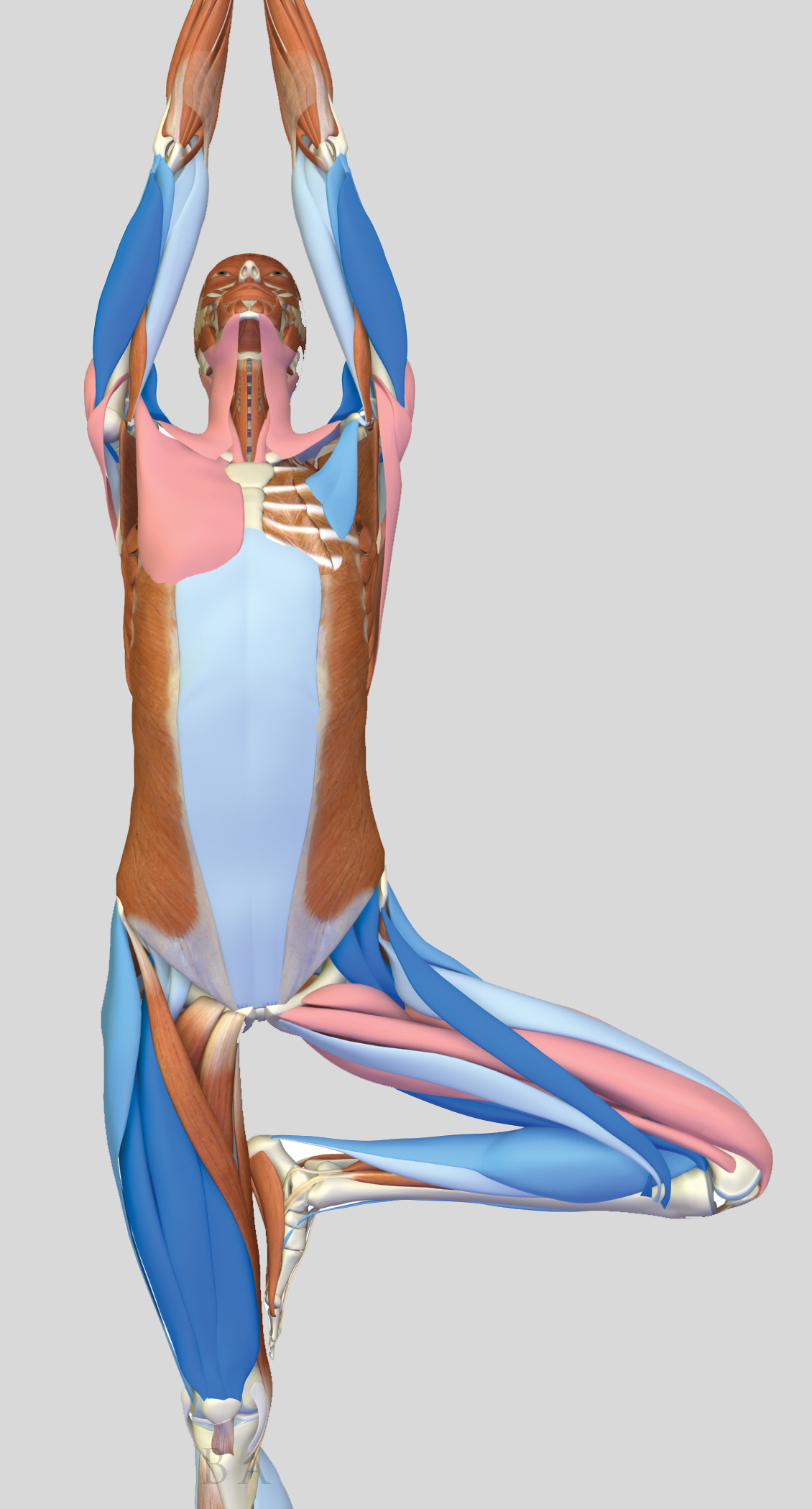 Treepose+04.jpg