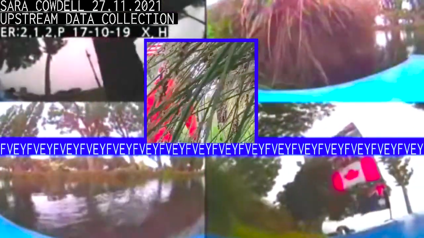 Screen Shot 2021-12-14 at 12.19.39 pm.png