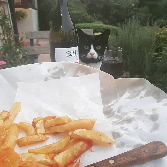 Date night ;)
.
.
.
.
.
.
.
.
.
.
.
.
#datenight #romance #fish #wine #pussy #kitty #cat #food #foodgram #chips #hungry #yum #foodie #foodgasm #bae #beautiful #dinner #delicious #mealprep #date #perfect