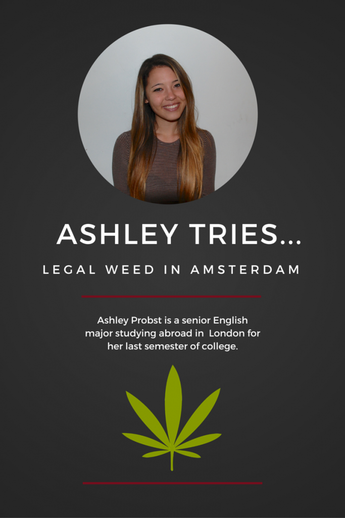 Graphic by Georgina Bridger.