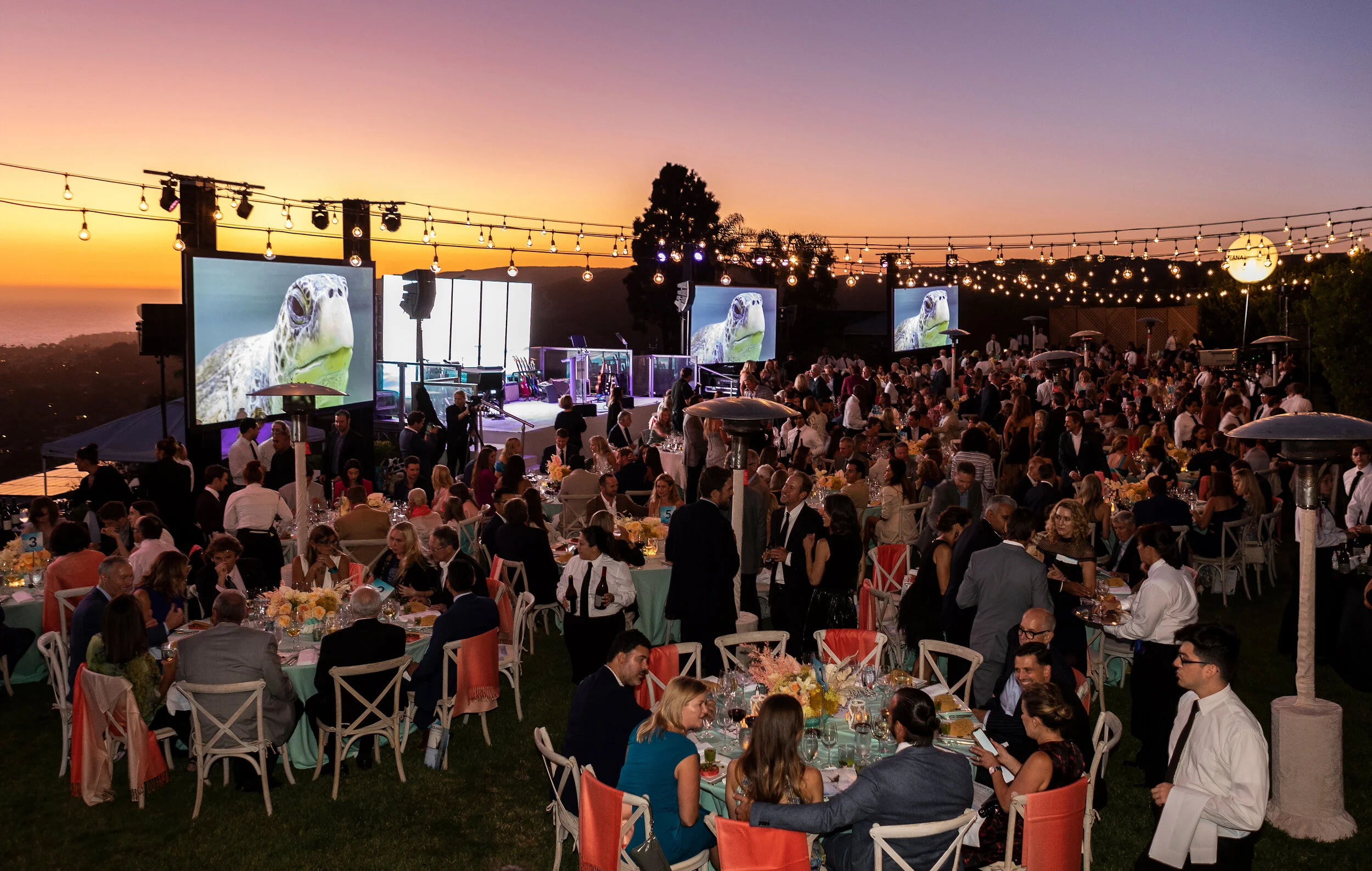 Photo by Kevin Warn/Oceana