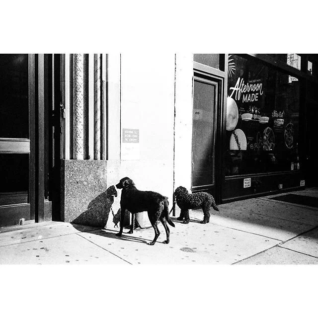 Confinement day 13th .