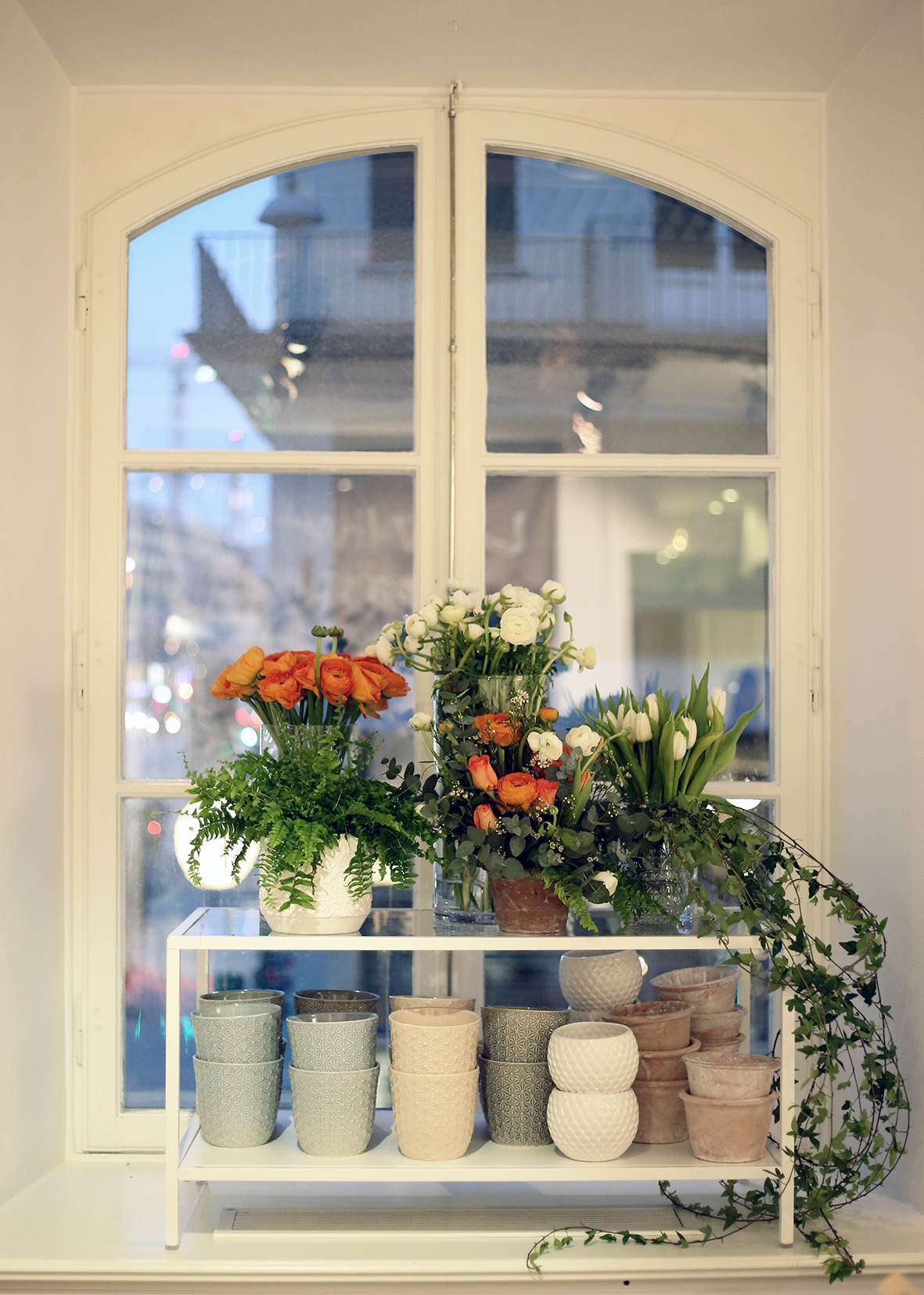 Blomsterlandet_Blommor.jpg