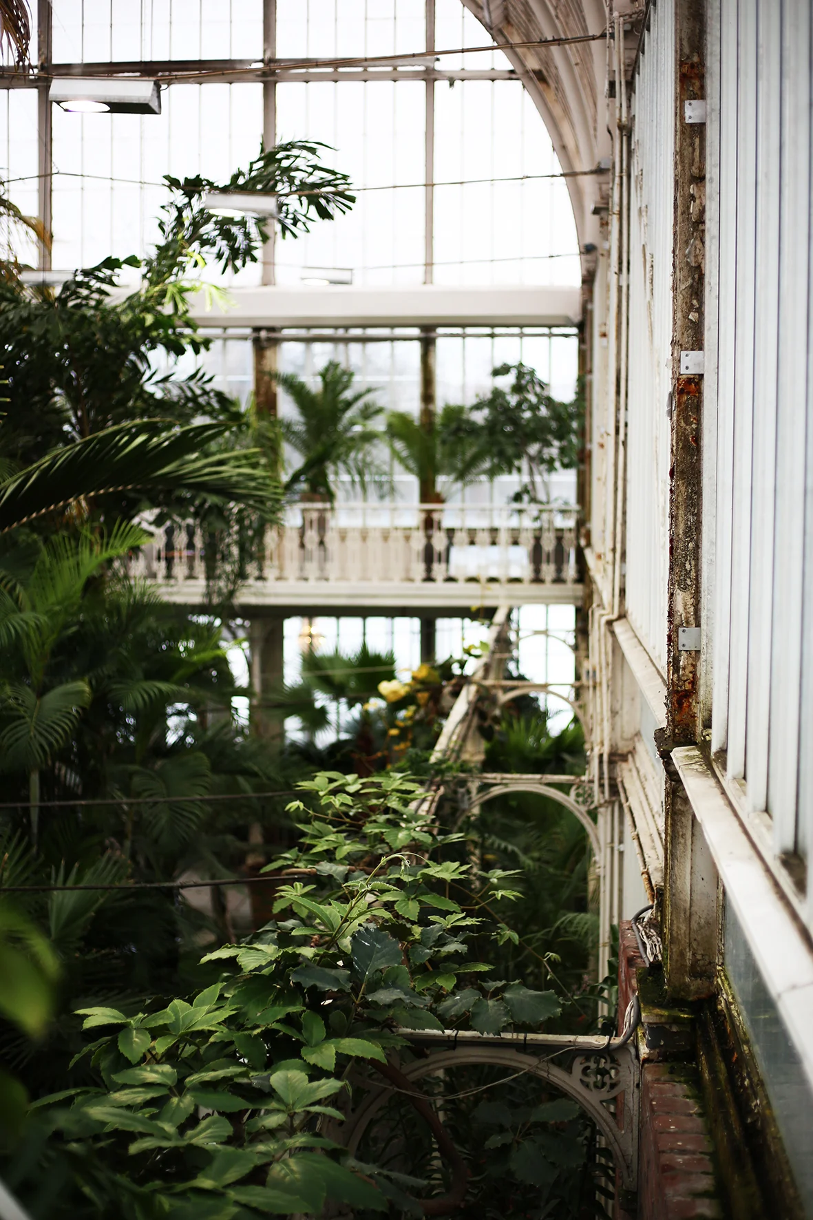 Palmhuset_Göteborg.jpg
