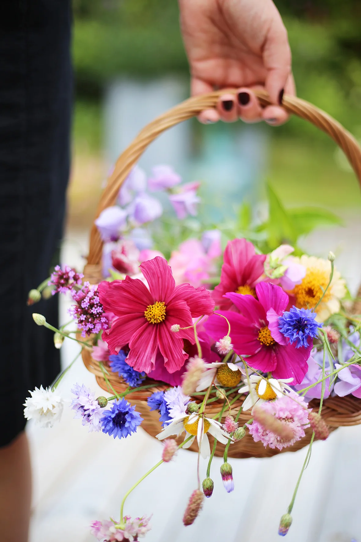 Plocka in blommor varje dag.