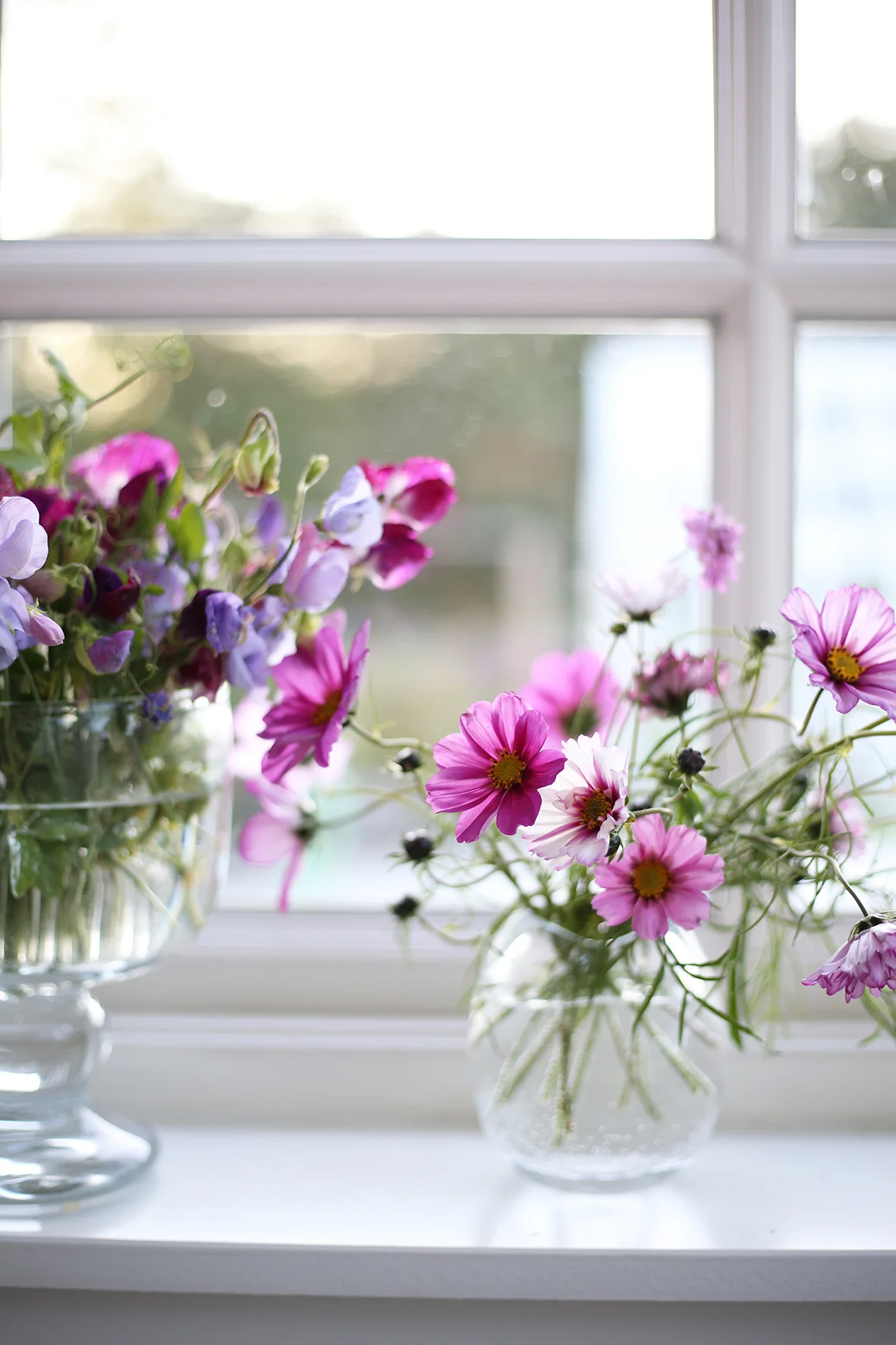 Blommor i mitt fönster.