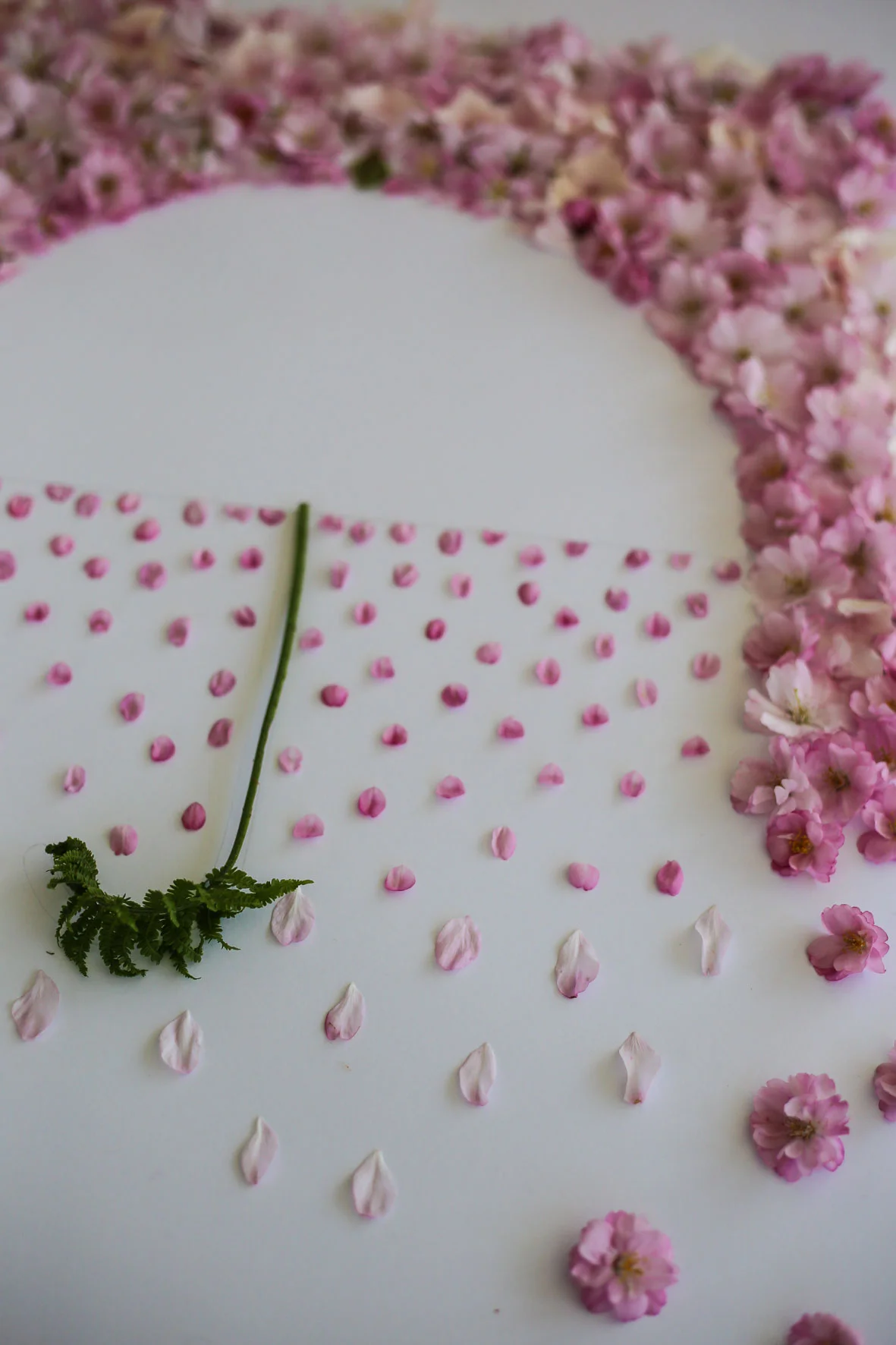 HannaWendelbo_Blomstermandala_Norrviken-8.jpg