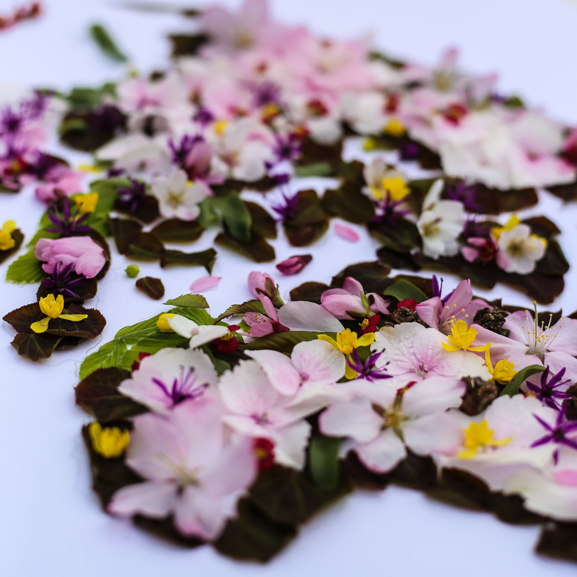 HannaWendelbo_Blomstermandala_Norrviken-5.jpg