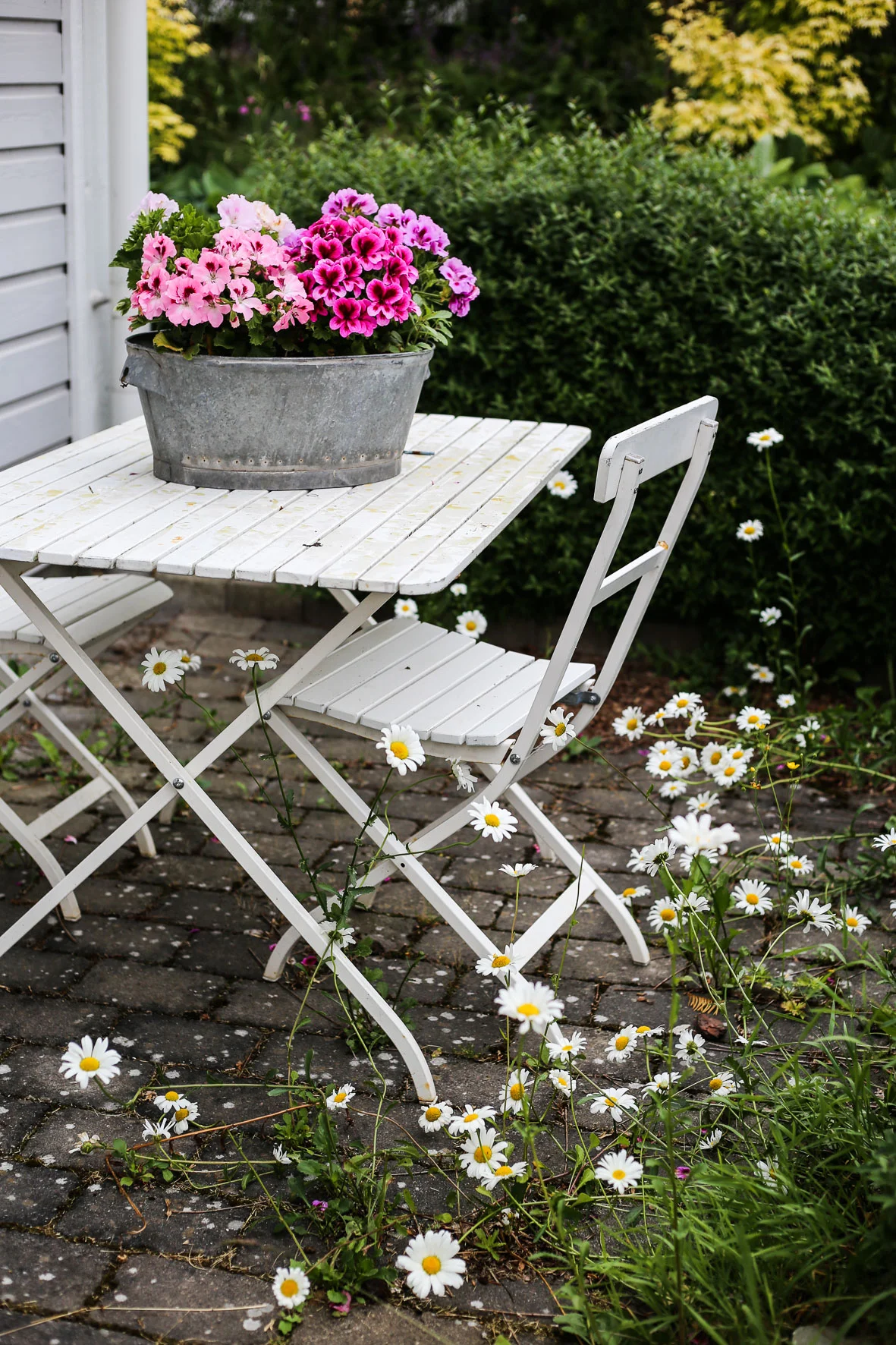 HannaWendelbo_Trädgård-20.jpg