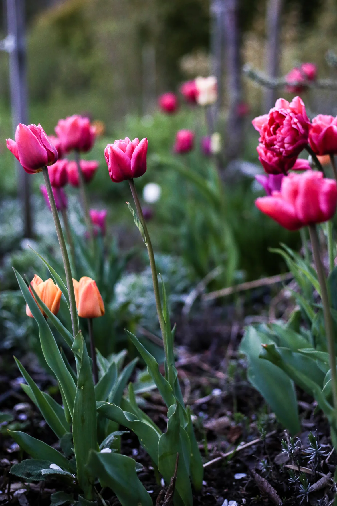Apelviken_HannaWendelbo_inspiration-6.jpg