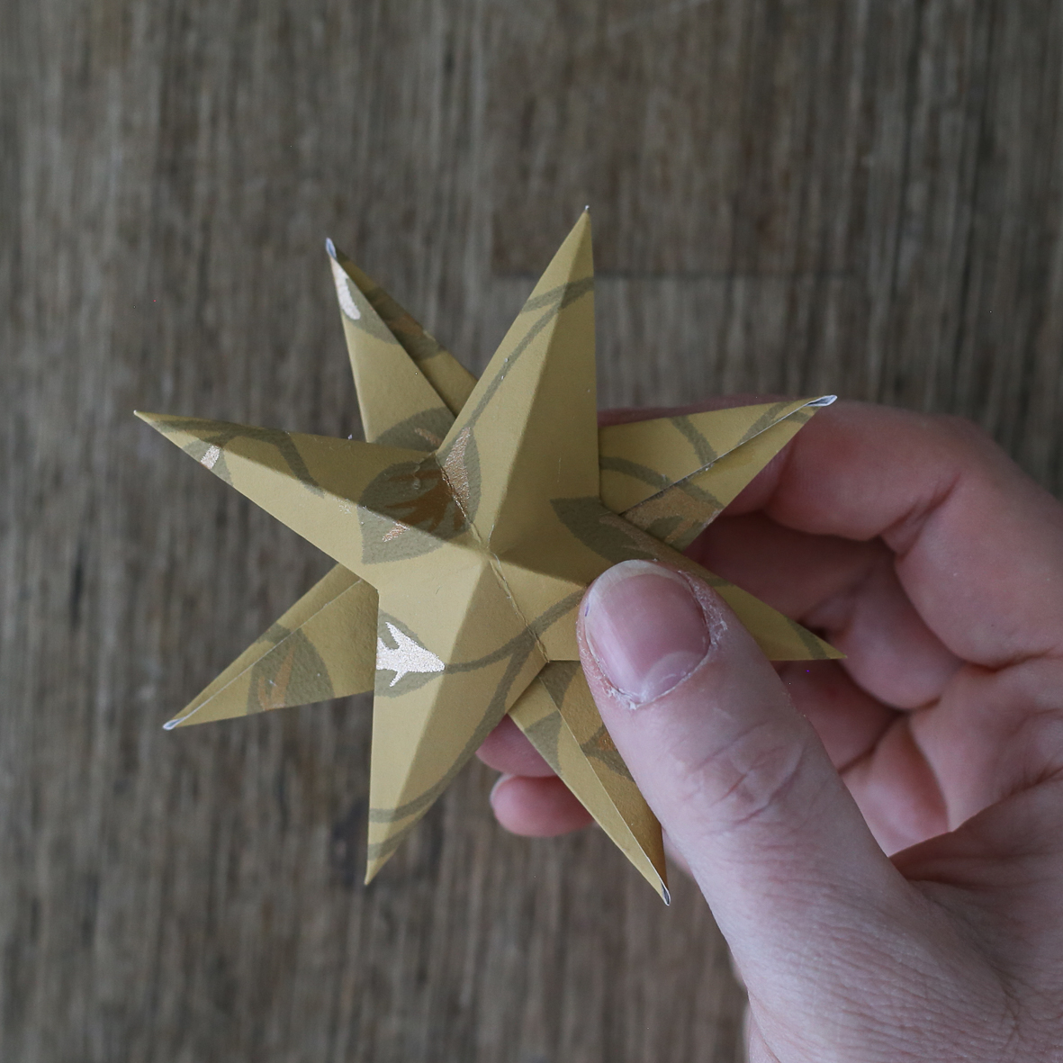 Christmas_star_HannaWendelbo-9.jpg