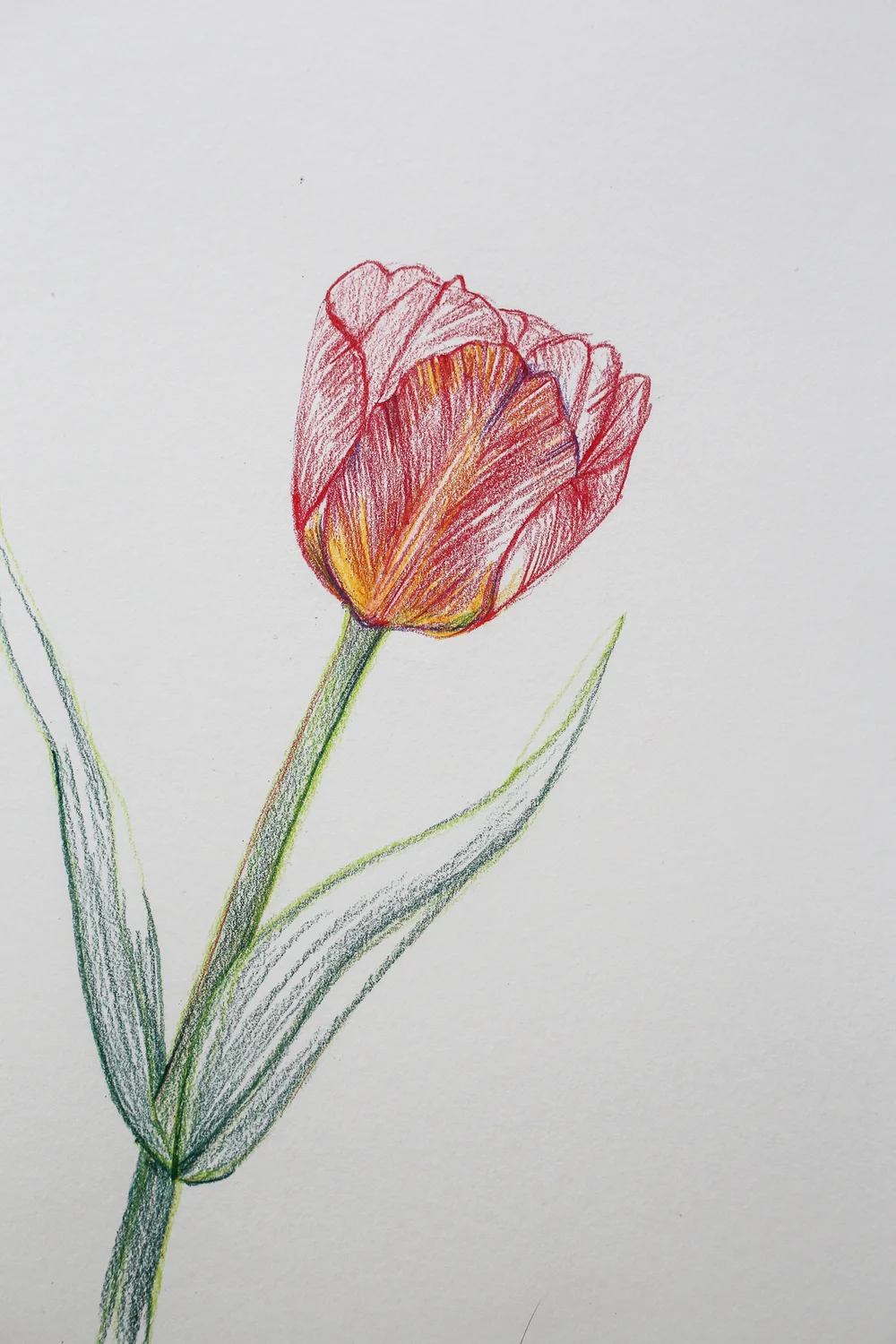 SÅ HÄR RITAR JAG BLOMMOR — Hanna Wendelbo Design