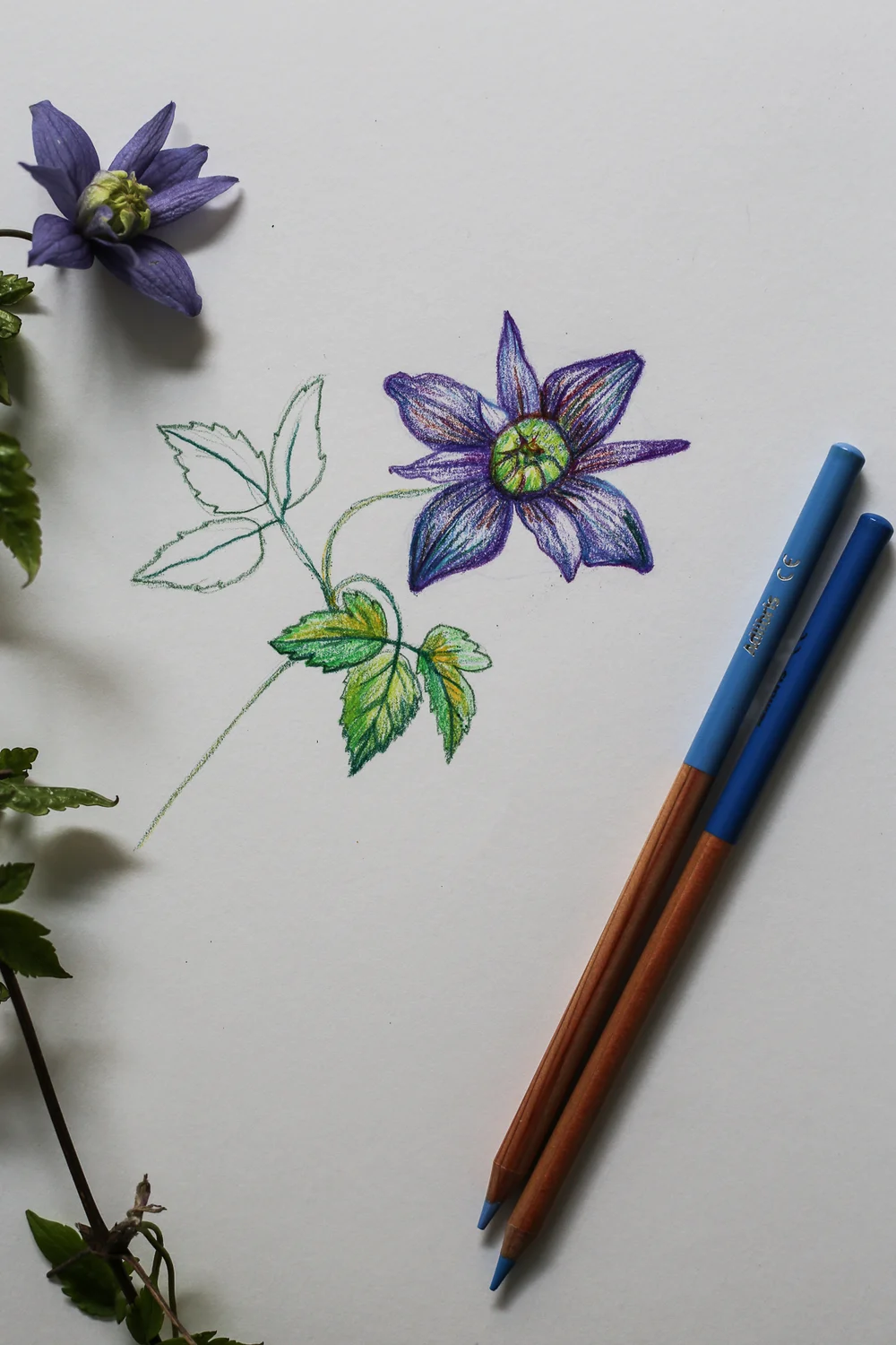 SÅ HÄR RITAR JAG BLOMMOR — Hanna Wendelbo Design