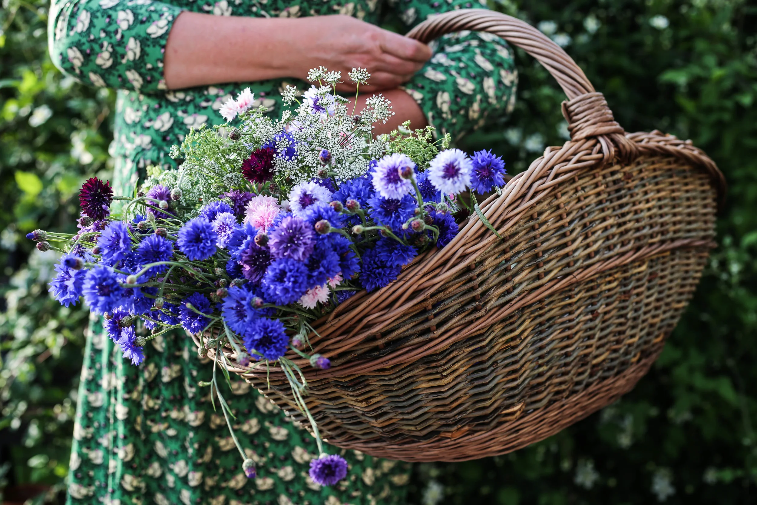 Hasselfors_sommarblomster_hannaWendelbo-2.jpg