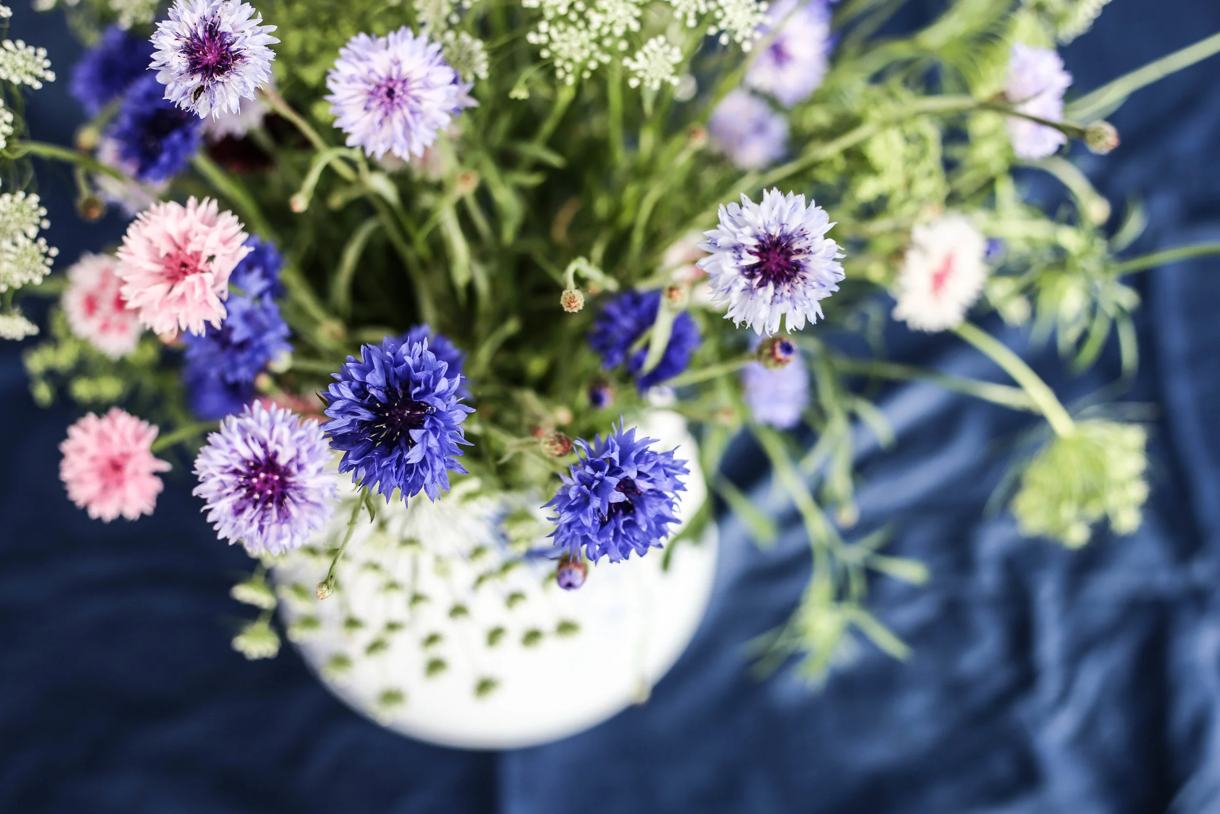 Hasselfors_sommarblomster_hannaWendelbo-8.jpg