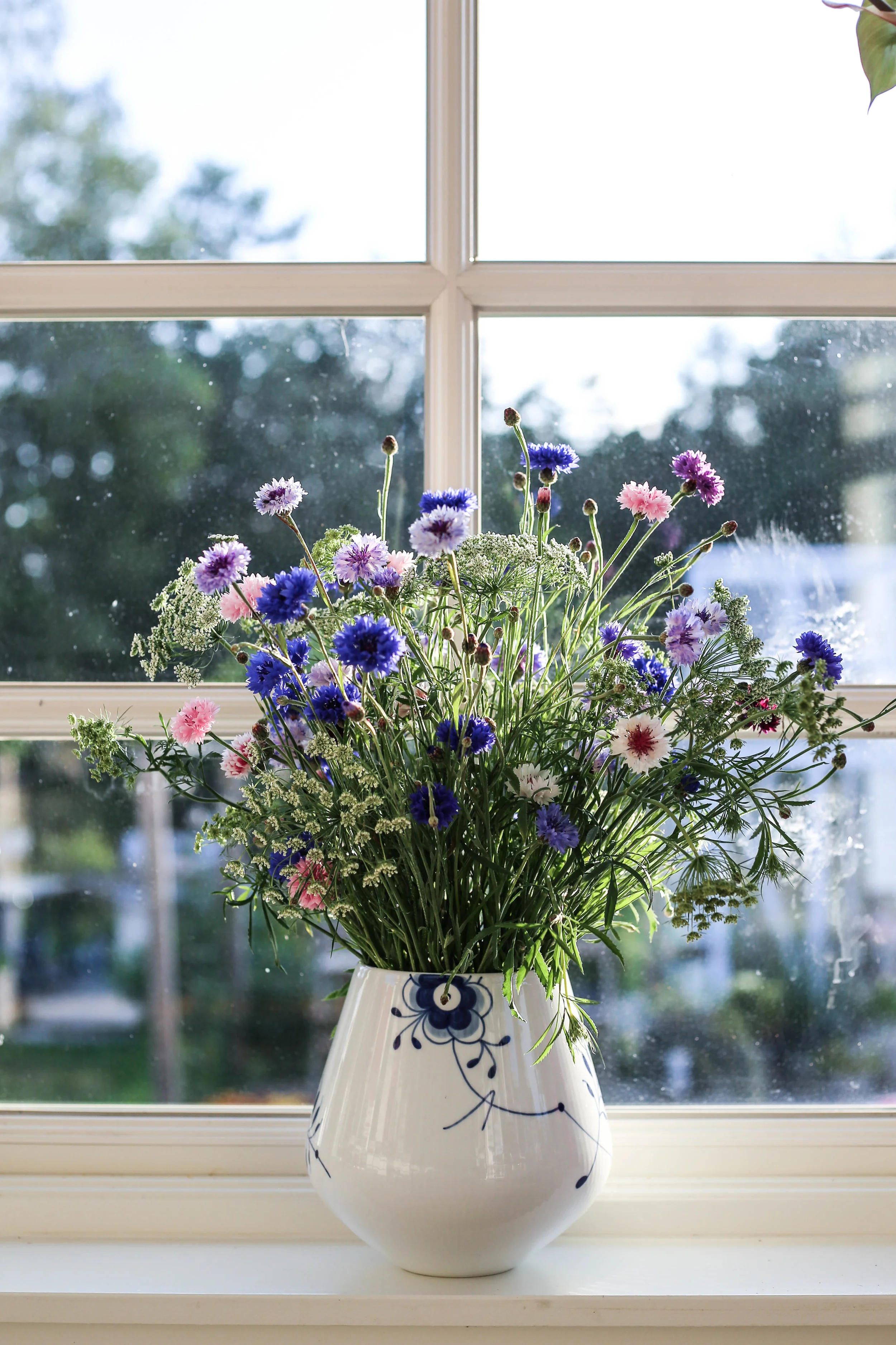 Hasselfors_sommarblomster_hannaWendelbo-10.jpg