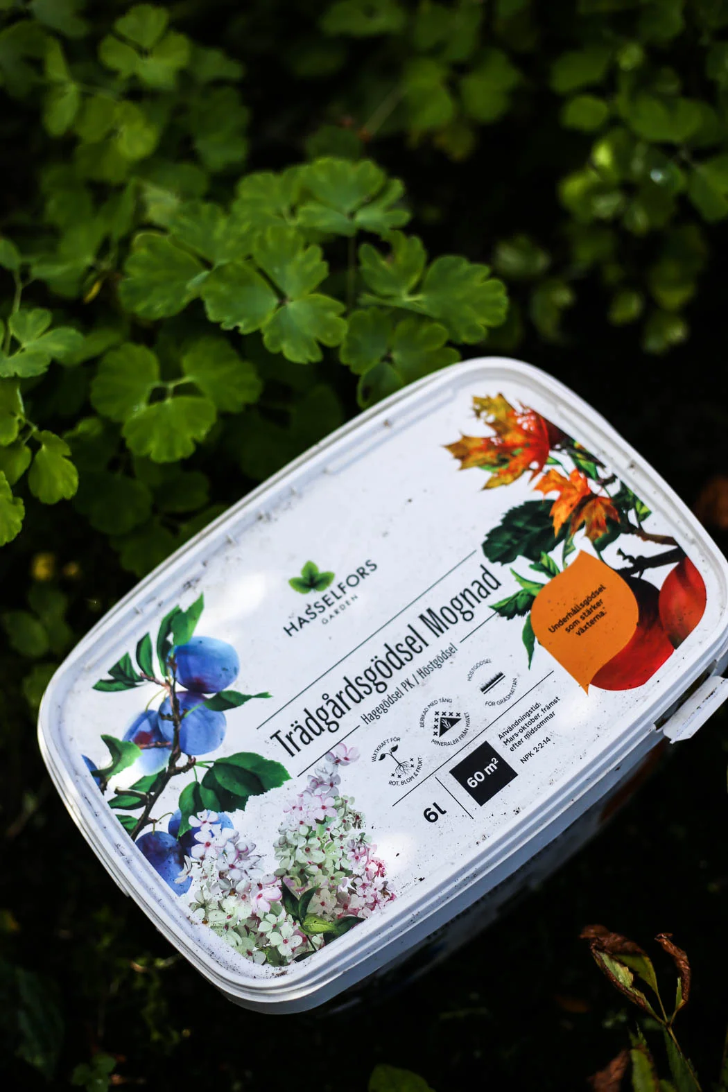 Höstfix-i-trädgården-HannaWendelbo-Hasselfors-30.jpg