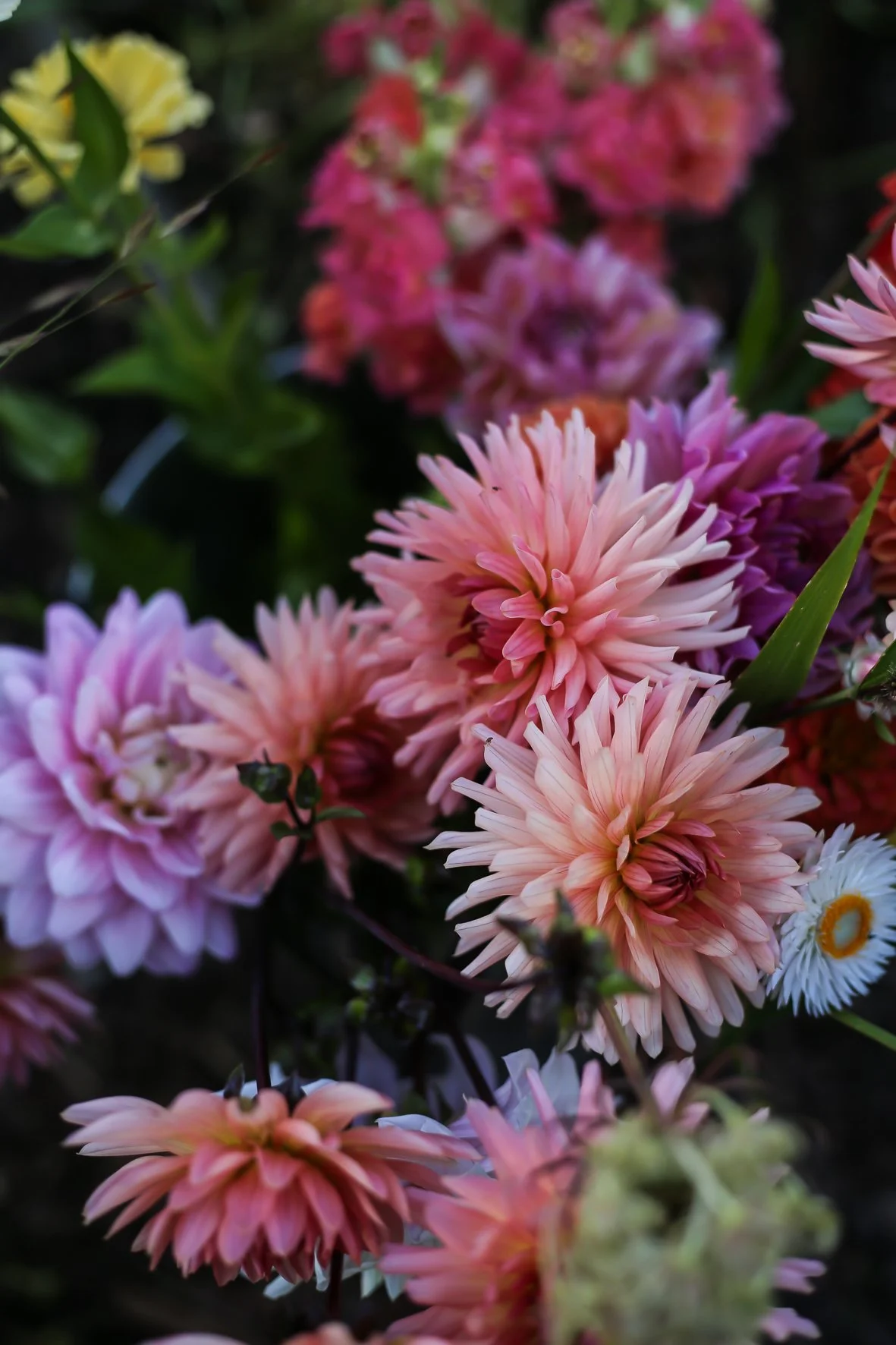 Blomstergårde_II-11.jpg