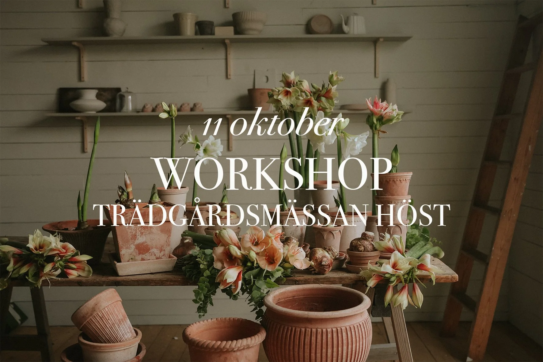 AMARYLLIS-WORKSHOP 11 OKT TRÄDGÅRDSMÄSSAN