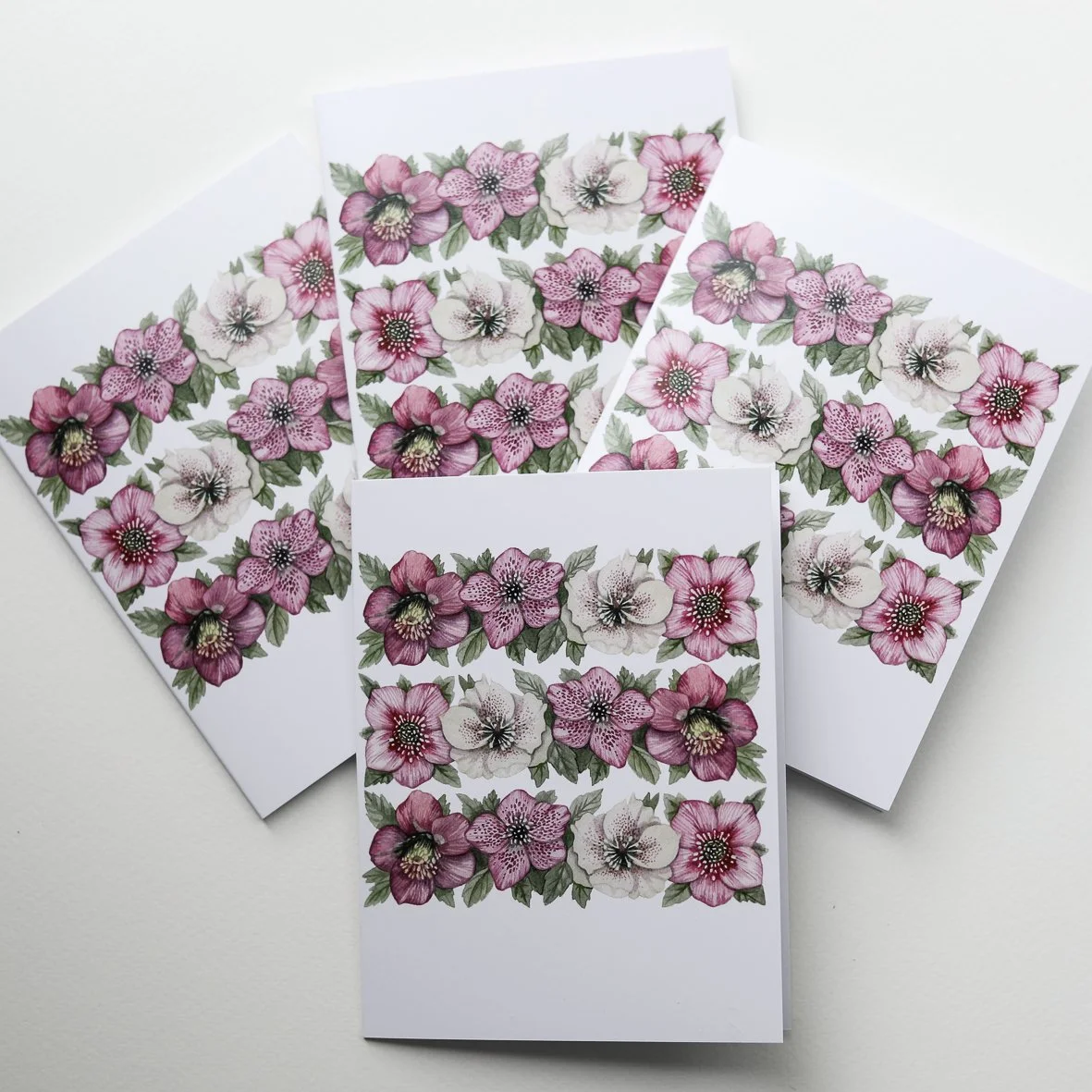 Helleborus_Kort_HannaWendelbo-3.jpg