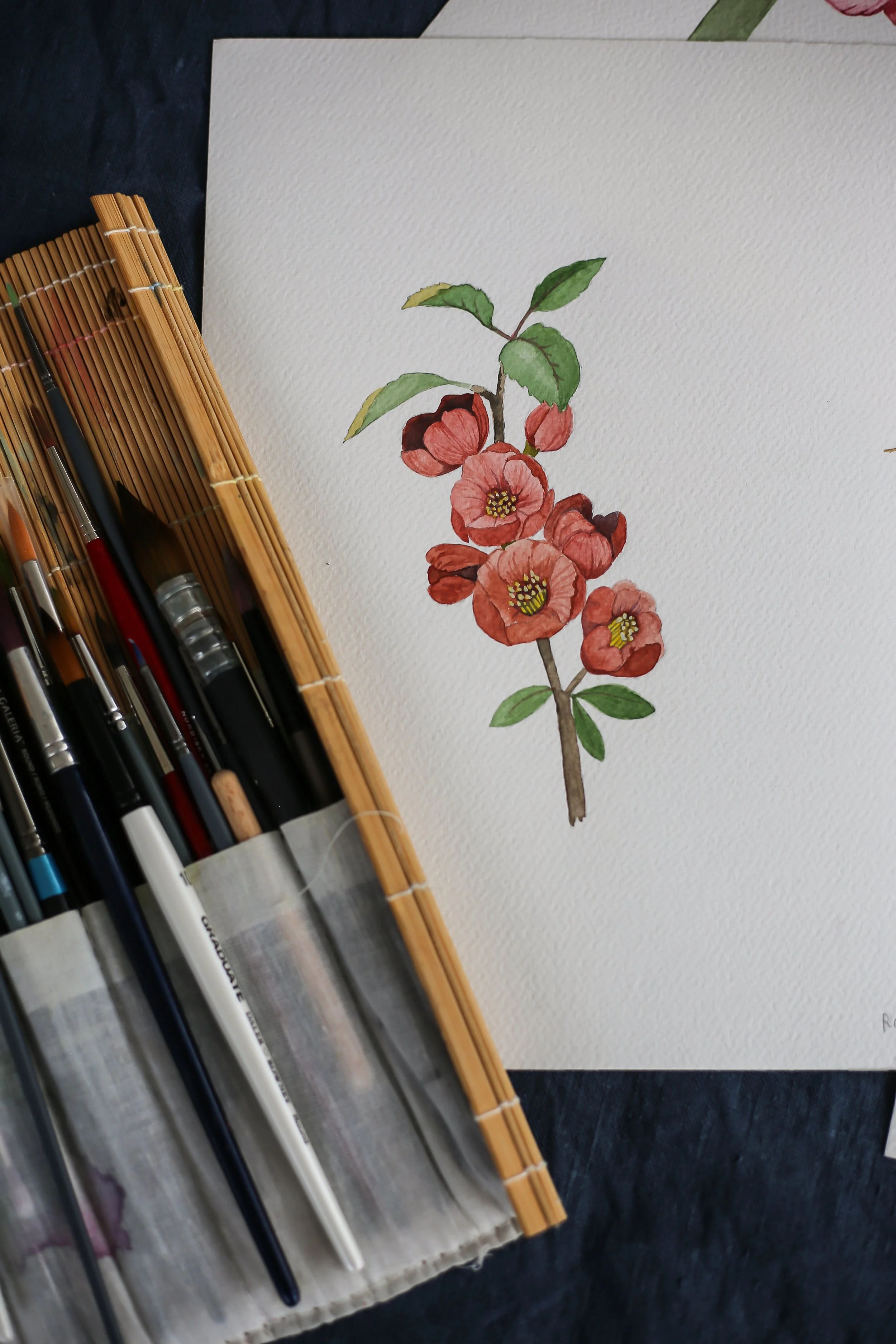Hanna_Wendelbo_Blomdagboken-2.jpg