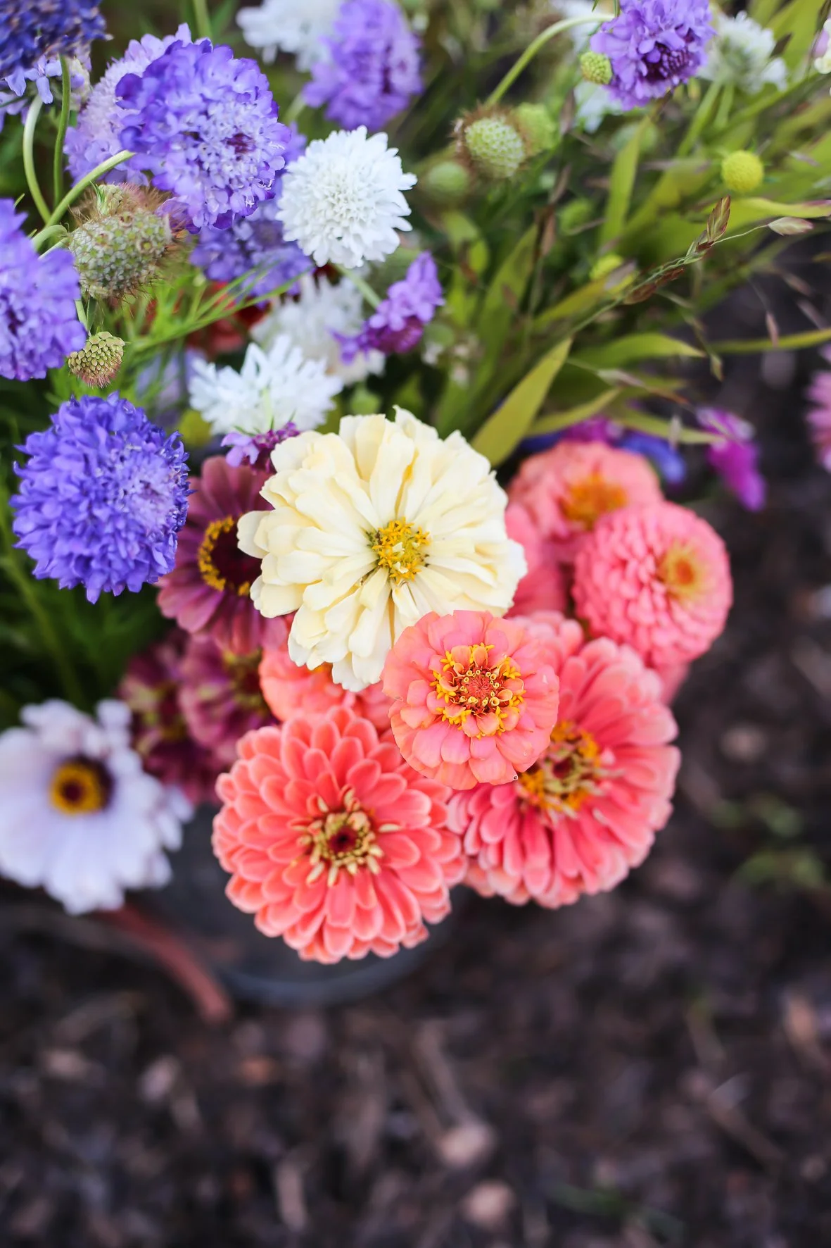 Blomstergårde_II-10.jpg
