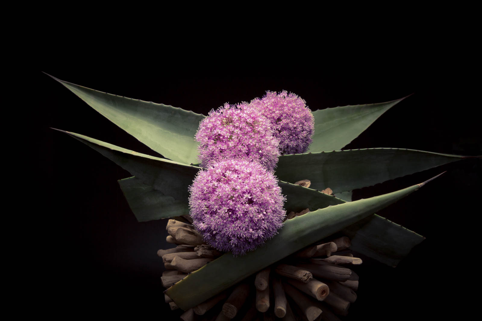 The EPOCH Way: A floral design class 4.26.26 10am-12pm