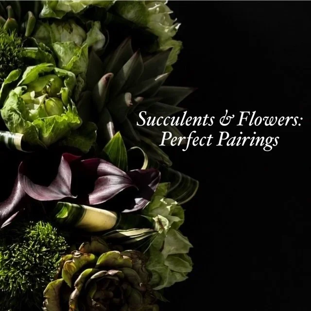 SUCCULENTS & BLOOMS: a floral design class 9.27.26 10am-11:30pm