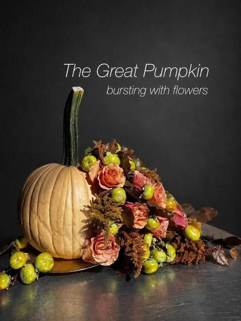 THE GREAT PUMPKIN: An annual floral design class: 10.17.26 10am-12pm