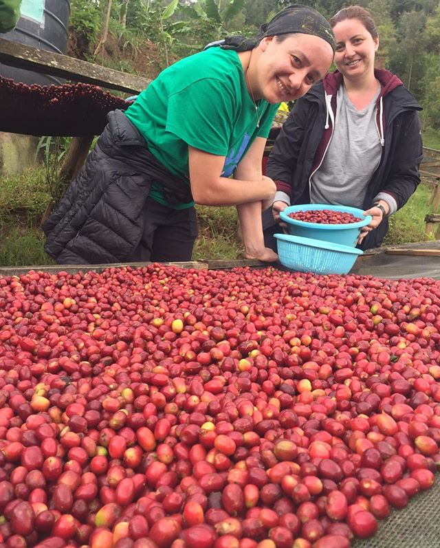 Dear  Coffee and it&rsquo;s People: We ❤️ You! Happy International Day! #kimmacoffee #womenincoffee #specialtycoffee #internationalcoffeeday2019 #internationalcoffeeday #letsequioa