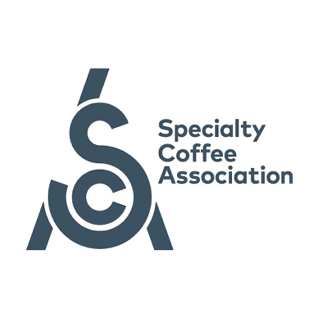 SCA YEŞİL KAHVE TEMEL SEVİYE