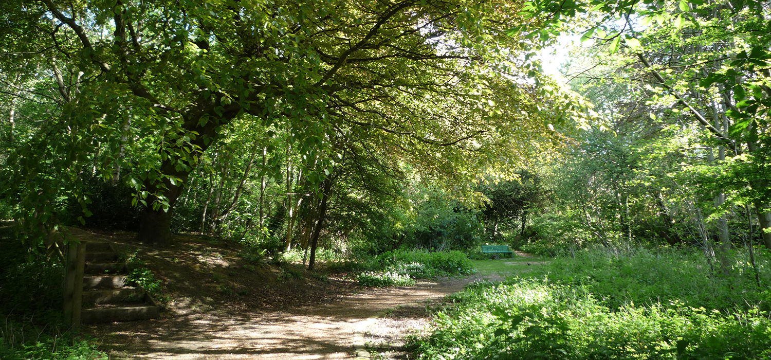 banner-test-2.jpg