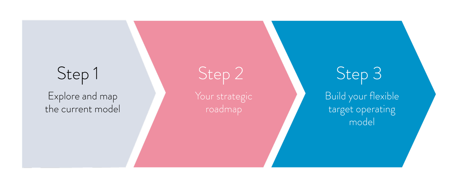 Flexible Target Operating Model — FINTRAIL