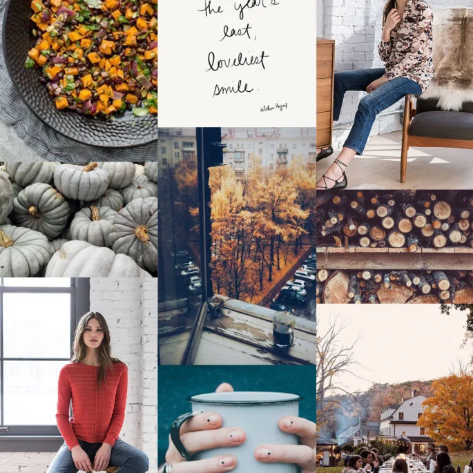 Feeling-Fall-685x685.jpg