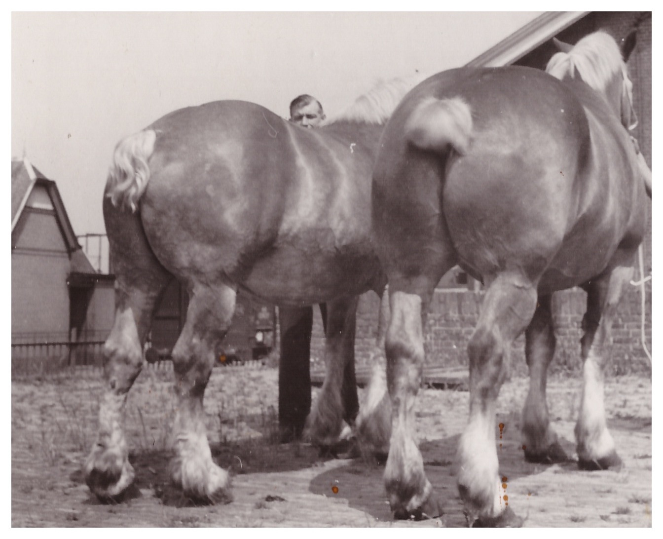 Joseph beim Einkauf in Belgien, ca 1935.jpeg
