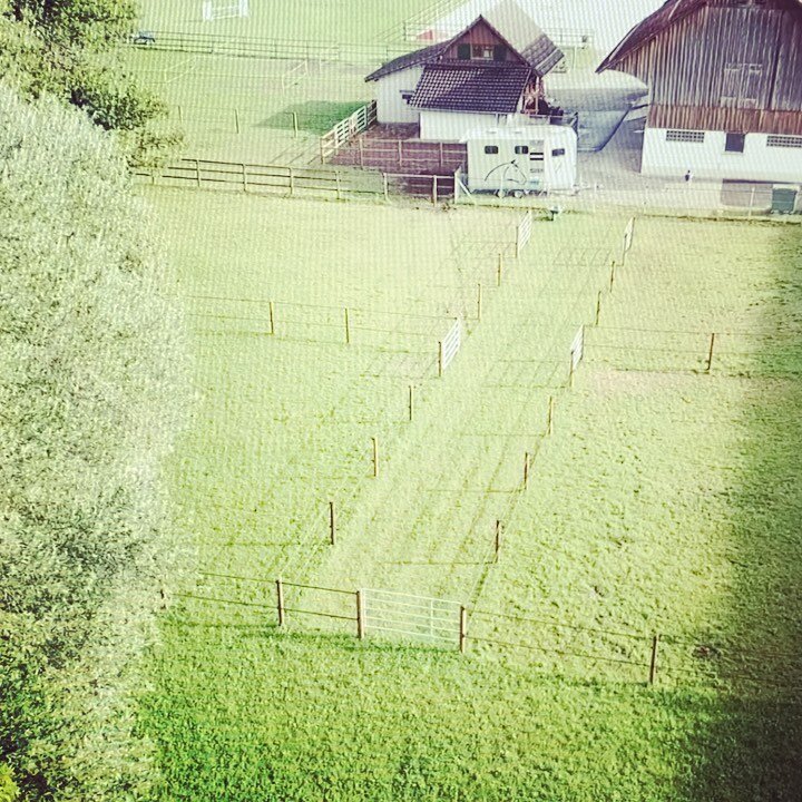 Impressionen vom Wochenende 🌳💚🐎💚