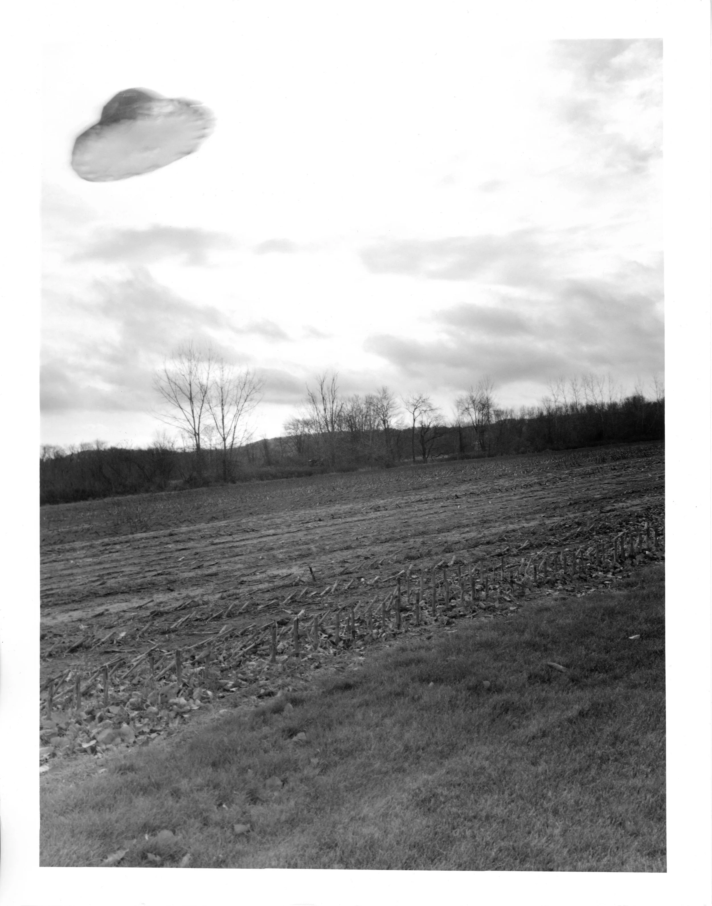 corn field ufo.jpg