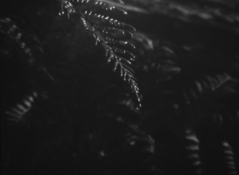 vlcsnap-2016-07-06-16h22m07s124.png