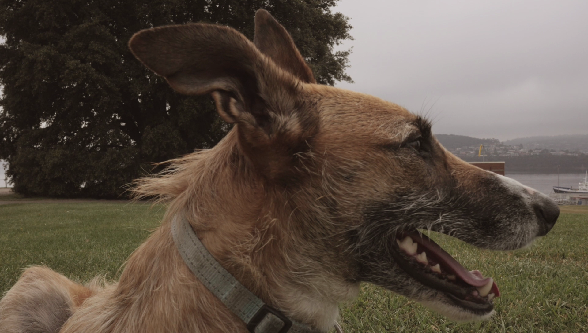 vlcsnap-2016-10-05-15h01m45s689.png