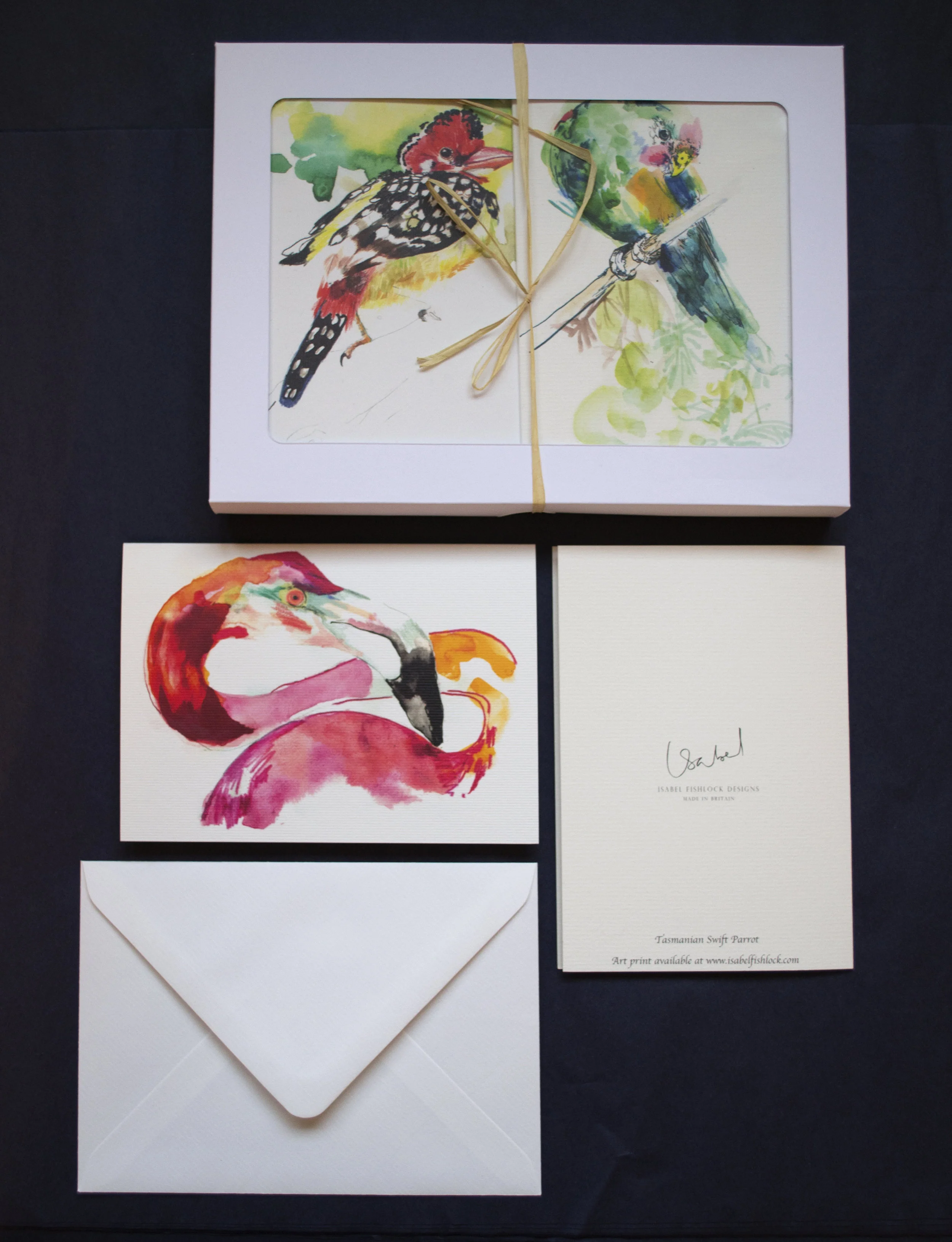 hand painted illustrated bird set , flamingo, parrot , woodpecker