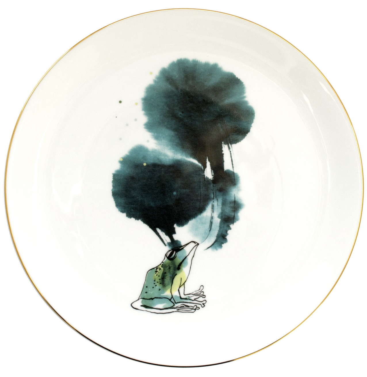 large fine bone china frog illustrated plate serving