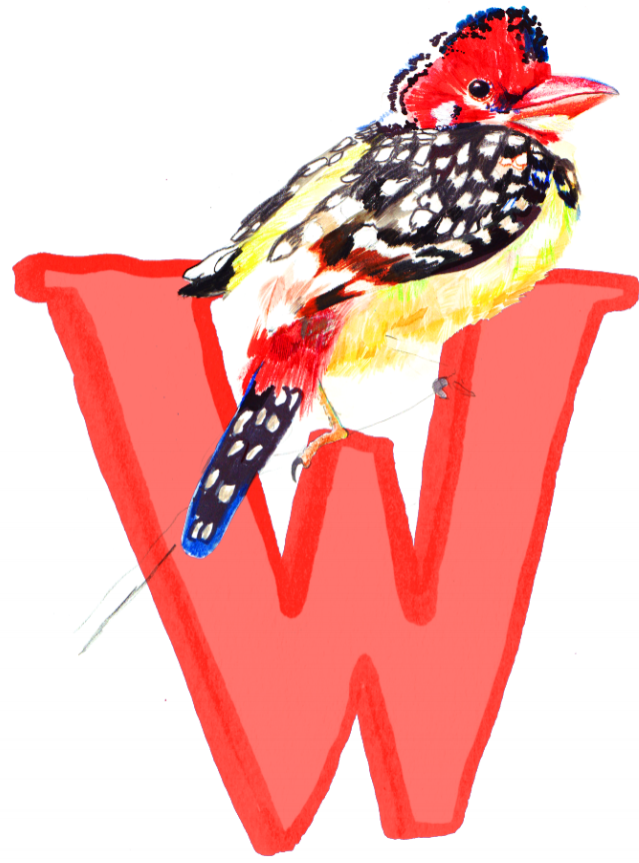 Screen Shot 2018-09-10 at 10.08.44.png