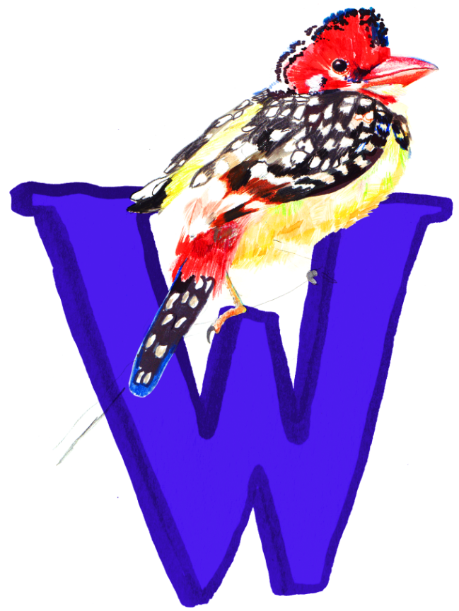 Screen Shot 2018-09-10 at 10.12.51.png
