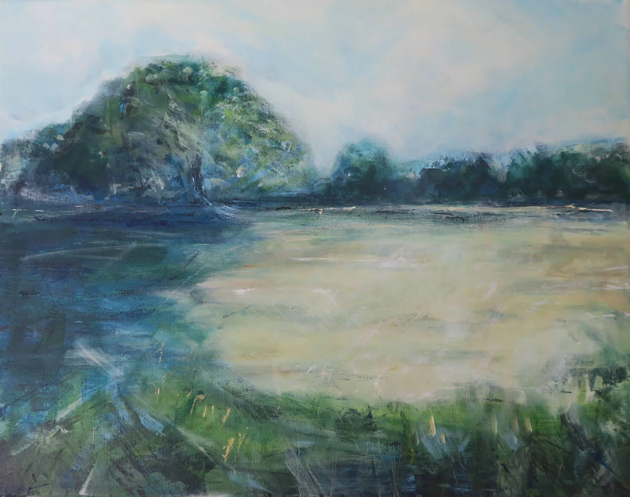 Summer meadow.jpg