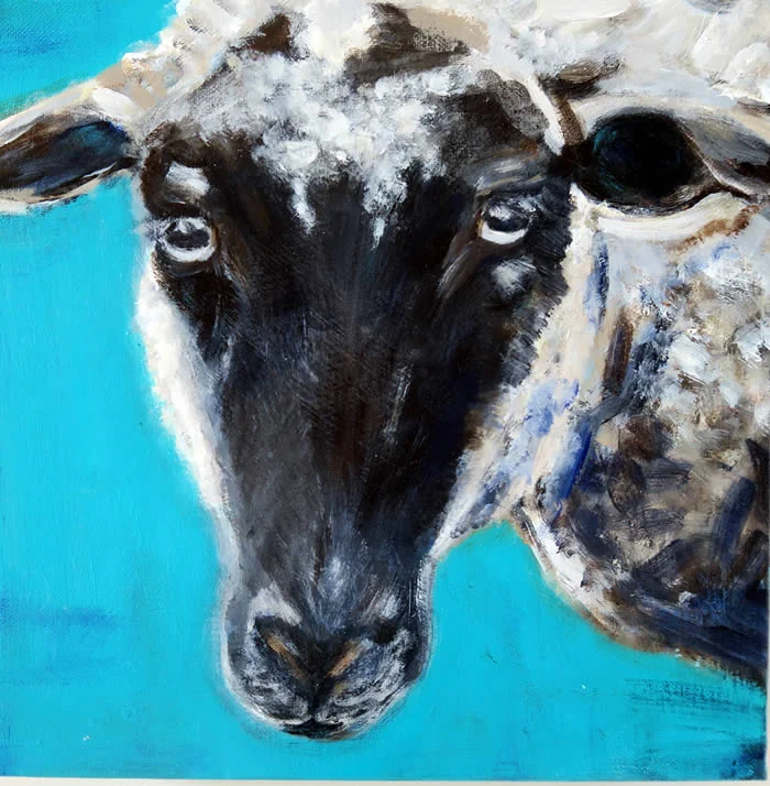 web-sheep_robert.jpg