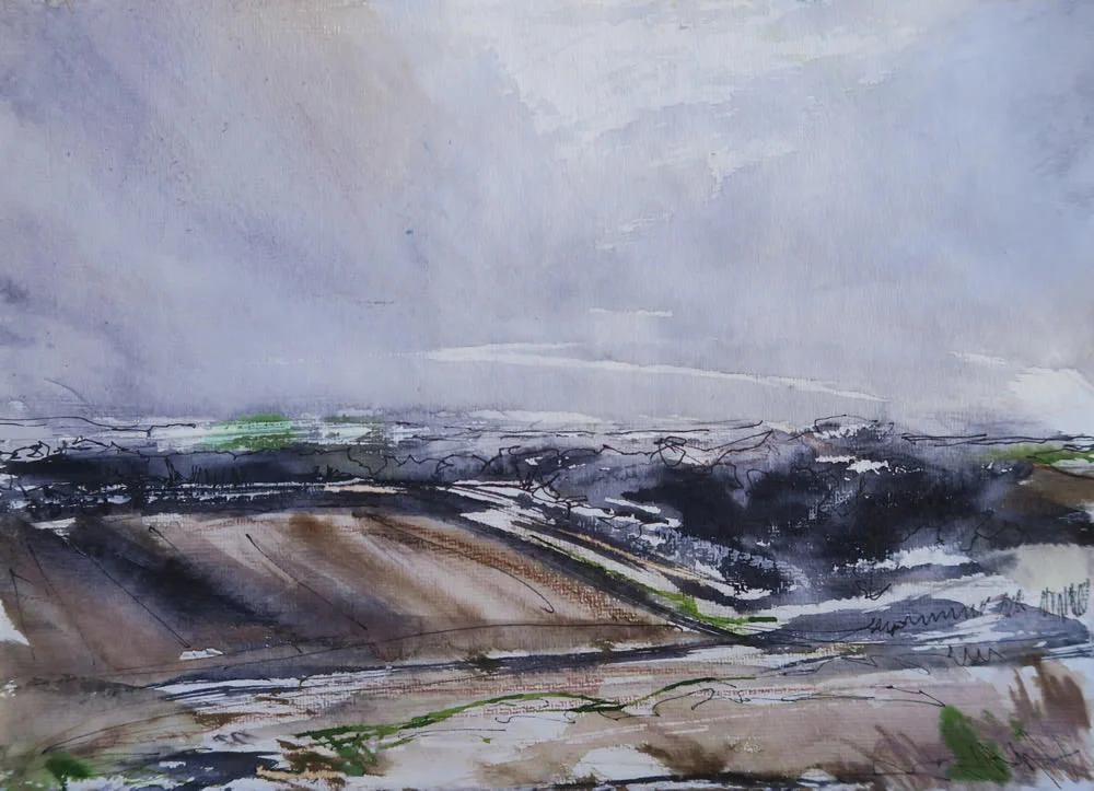 Noar Hill study IV