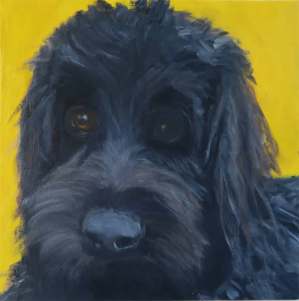 Teddy