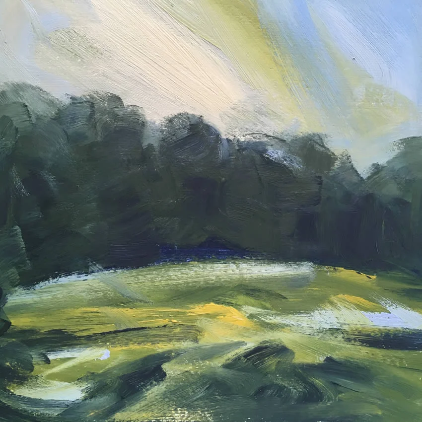 Spring Fields Study III