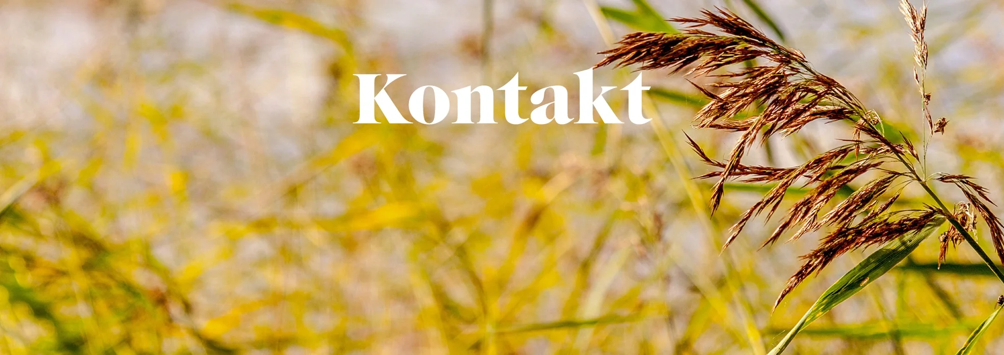 kontakt-Yngern-Strand-Nykvarn-Försäljning-lägenheter.jpg